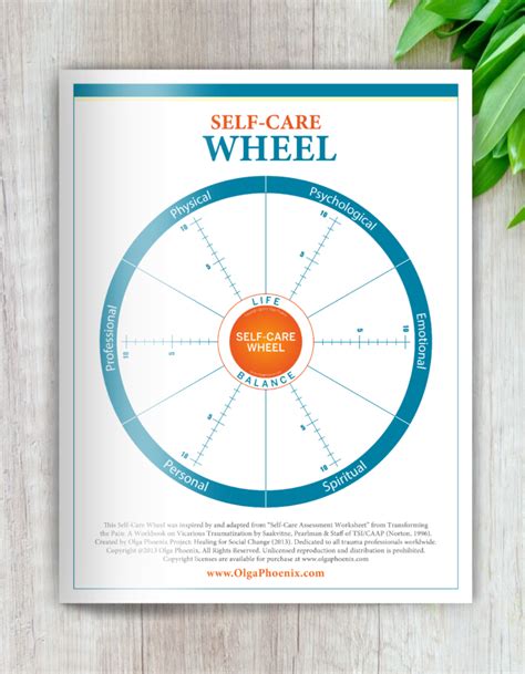 Classic Self Care Wheel International Edition 15 Images Bundle
