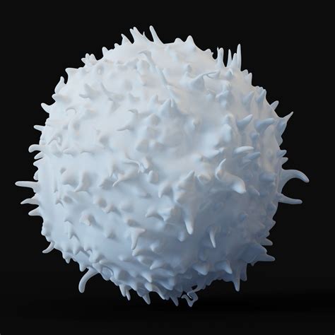 Lymphocytes Coronavirus 3d Model Cgtrader