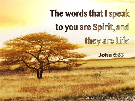 20 Bible Verses About The Holy Spirit And Preaching