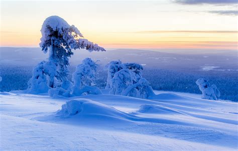 Wallpaper Winter Snow Trees Panorama The Snow Finland Finland