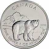 Grizzly Silver Can Pictures