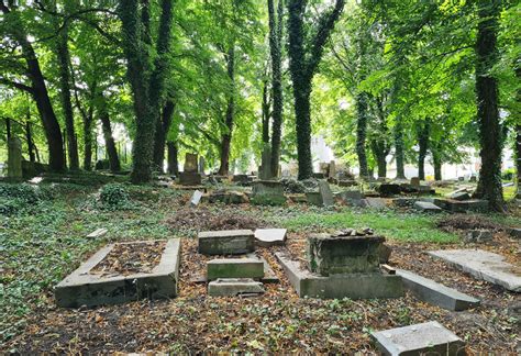 Cieszyn New Jewish Cemetery Esjf Surveys