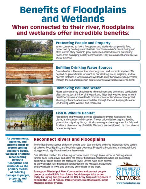 Protecting Floodplains And Wetlands 1mississippi