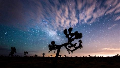 The 20 Best Hikes In Joshua Tree That Will Blow Your Mind