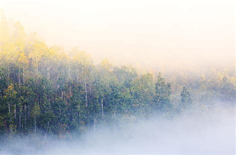 Foggy Morning Sunrise With Mountain Background Stock Image Image Of