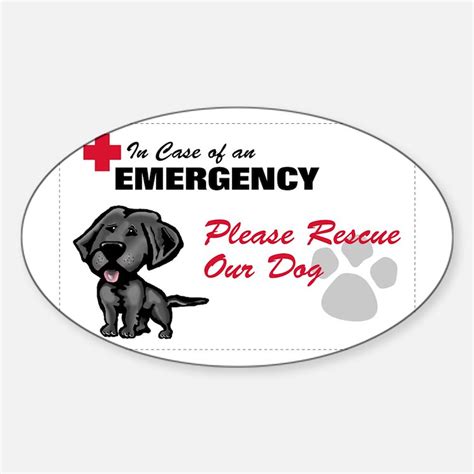 Lab Safety Bumper Stickers Car Stickers Decals And More
