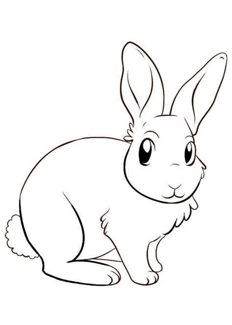 Disegni Di Conigli Da Colorare Pianetabambini It Coloriamo