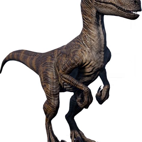Velociraptor Jurassic World Evolution Wiki Fandom Velociraptor Komodo Dragon Spinosaurus