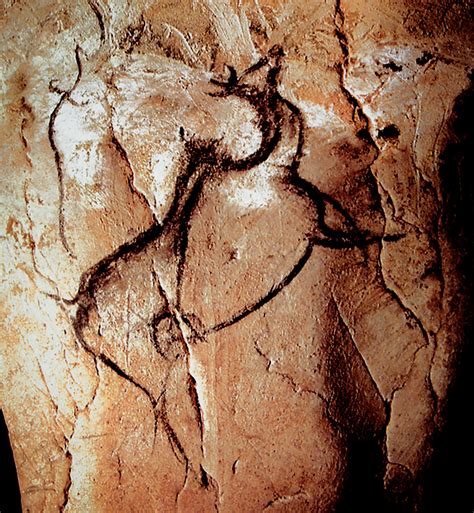 Introduction To The Cave Art Paintings Of The Chauvet Cave