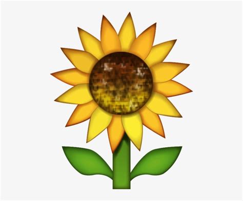 Sunflower Emoji Aesthetic
