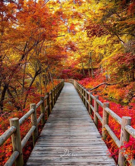Pin By Pipchippin On Autumn Bliss Beautiful Nature Scenery Japan Photo