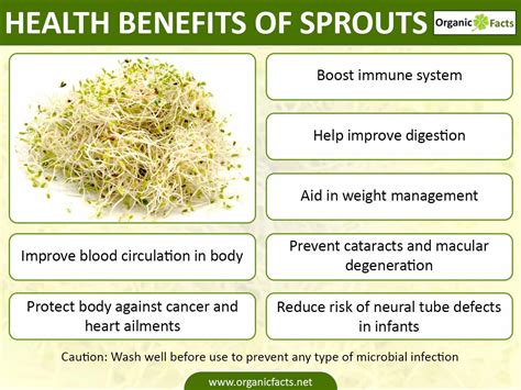Best Benefits Of Sprouts Organic Facts