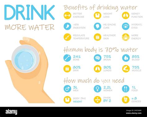 Benefits Of Drinking Water Infographic Vector Illustration Stock