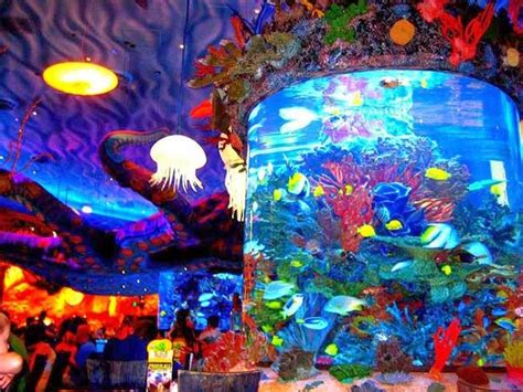 Leaking Fish Tank In One Of Disneys Restaurants Soaked Nearby Diners