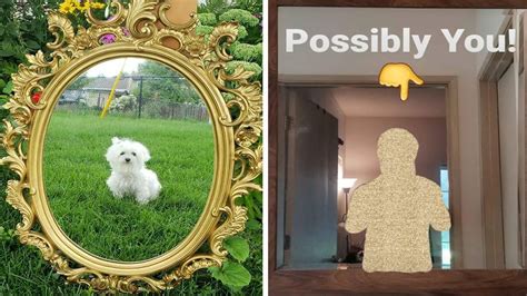 Times People Tried To Sell Mirrors And The Photos They Took Showed The Funniest Reflections