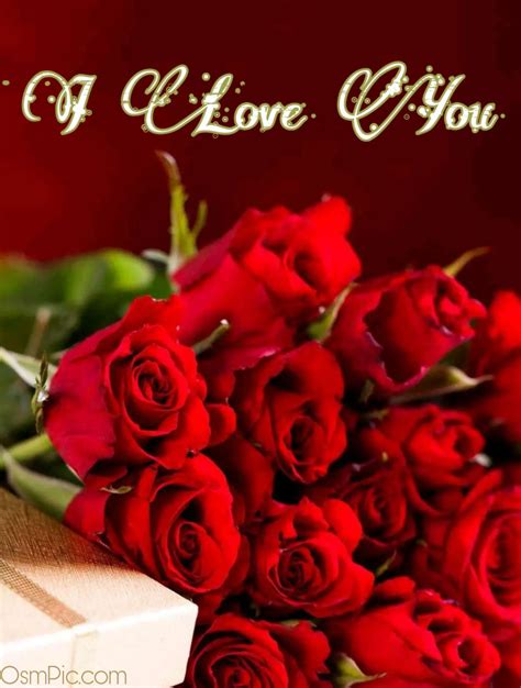 50 Most Beautiful I Love You Roses Images Pics Of Love Roses For Lovers
