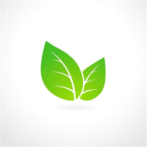 Emblema De Ecología Hoja Verde Leaf Illustration Leaf Logo Floral