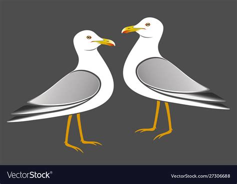 Seagulls Royalty Free Vector Image Vectorstock