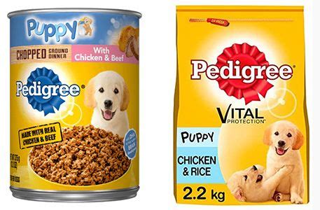 A full range of dry food, wet food and treats for dogs of all shapes and sizes. Pedigree Puppy Food Review in 2020 | Puppy food reviews ...