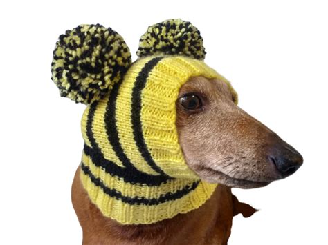 Bee Knitted Hat For Dachshund With Two Pompons Dachshundknit Warm