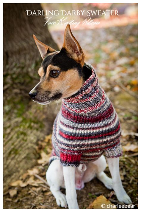 Knit Dog Sweater Free Knitting Patterns Knitting Pattern