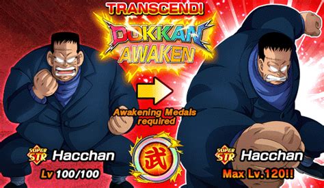 We hope you continue to enjoy dragon ball legends. World Tournament Exclusive Summons! | News | DBZ Space! Dokkan Battle Global