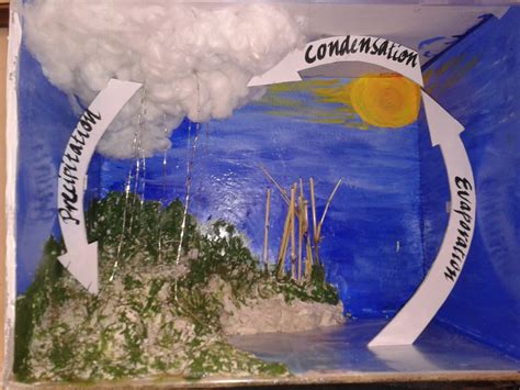 The sun heats up the water from the oceans, lakes and rivers. How to Make an Eco-friendly Model on Water Cycle in Kids ...