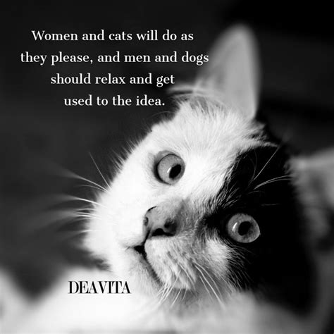 30 Super Cool And Funny Cat Quotes With Lovely Photos Cat Quotes