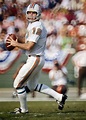 Bob Griese | Dolphins football, Dolphins, Nfl