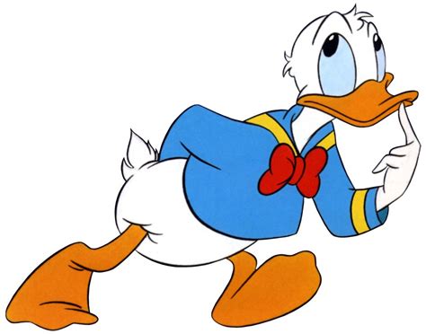 Donald Duck Duck Cartoon Donald Duck Cartoon Pics