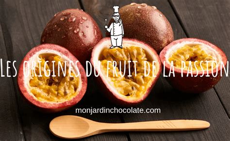 Top 43 Le Fruit De La Passion Martinique 26153 Good Rating This Answer