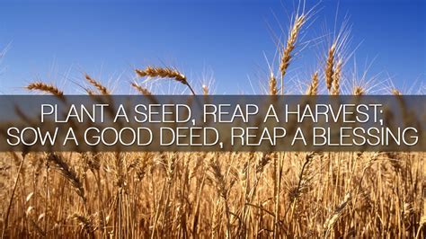 Plant A Seed Reap A Harvest Sow A Good Deed Reap A Blessing Youtube