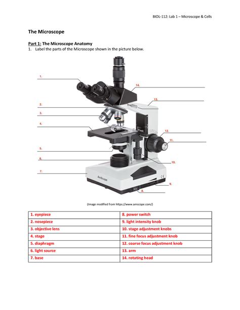 Biol 112 Lab 1 Activtiy Worksheet Microscope And Cells The Microscope