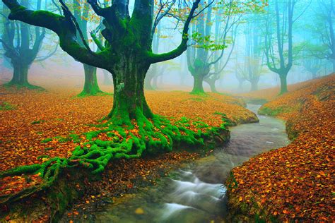 Autumn Spain Rivers Forest Landscape Fog Nature Water Trees Wallpaper