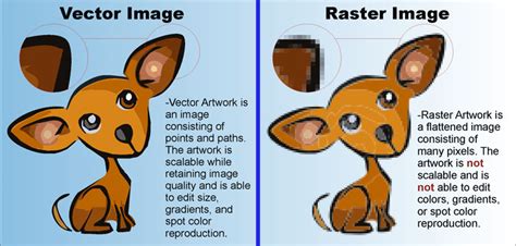 Raster And Vector Graphicswhats The Difference Signs Of Seattle
