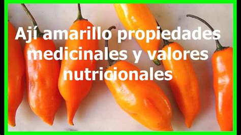 Ají Amarillo Propiedades Medicinales Y Valores Nutricionales Youtube