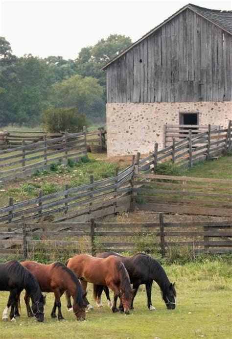 Beautiful Horses Horse Farms Old Barns