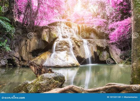 Waterfall Tropical Rainforest Colorful Stock Image Image Of