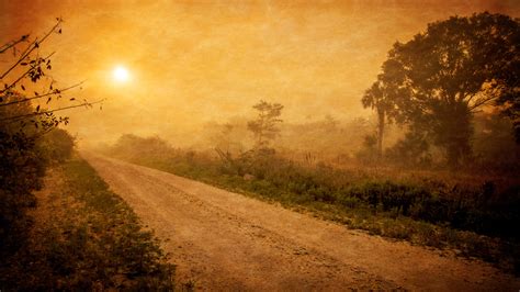 fotos gratis paisaje árbol naturaleza bosque camino niebla amanecer puesta de sol la