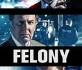 Felony (film) - Réalisateurs, Acteurs, Actualités