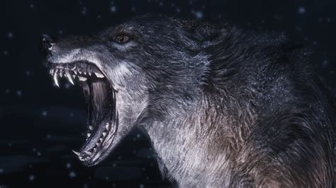 Wolf Wallpapers Best Wallpapers