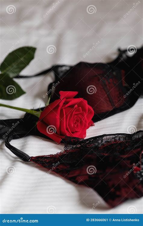 Thin Lace Black Underwear Panties And Bra And Red Rose Are Lying On Bed Stock Image Image Of