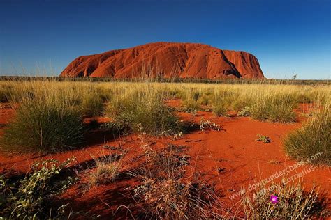 Outback australia, Australia, Australian desert