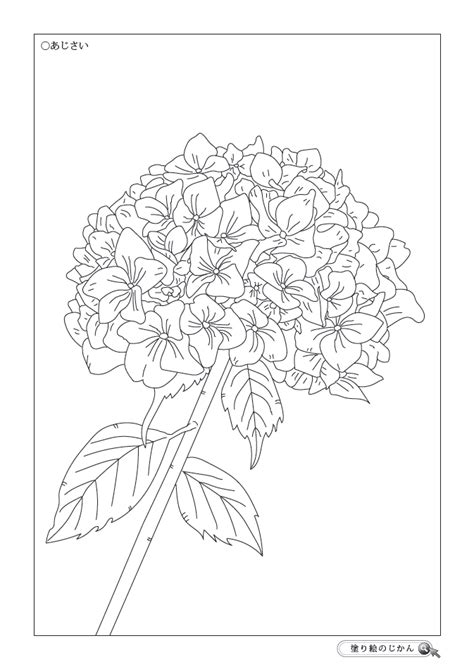 See more of 大人の塗り絵 on facebook. 印刷可能無料 6 月 塗り絵 無料 - 子供と大人のための無料印刷 ...