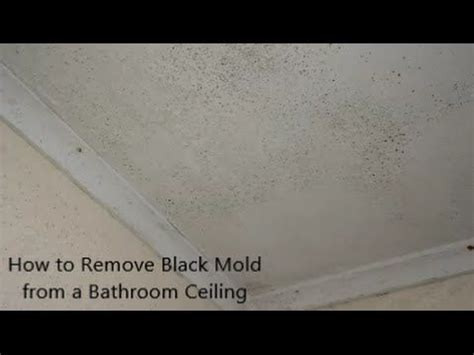 You can tell the difference because 'moisture mold' resembles speckles of black spray paint splashed on your ceiling. How to Remove Black Mold from a Bathroom Ceiling | Mold on ...