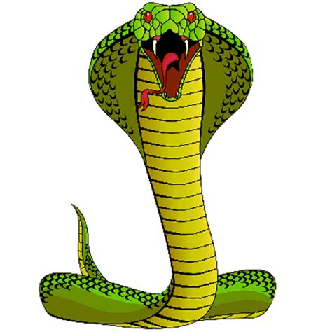 Cobra Clipart Coiled Snake Cobra Coiled Snake Transparent Free For