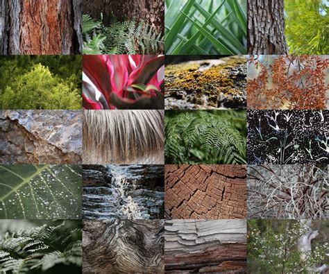 Nature Textures Free Photo Collection Shutteroo