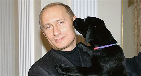 Vladimir Putin Russian President Hd Wallpapers Images And Photos