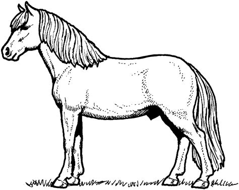 296 Dessins De Coloriage Cheval à Imprimer Sur Page 29