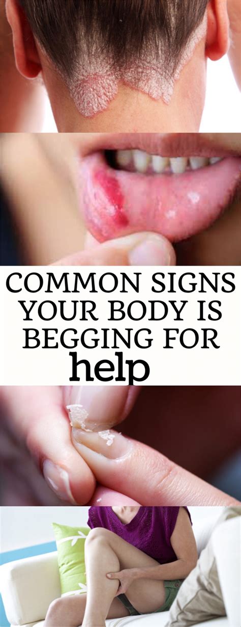 6 Common Signs Your Body Is Begging For Help Shareozone Body
